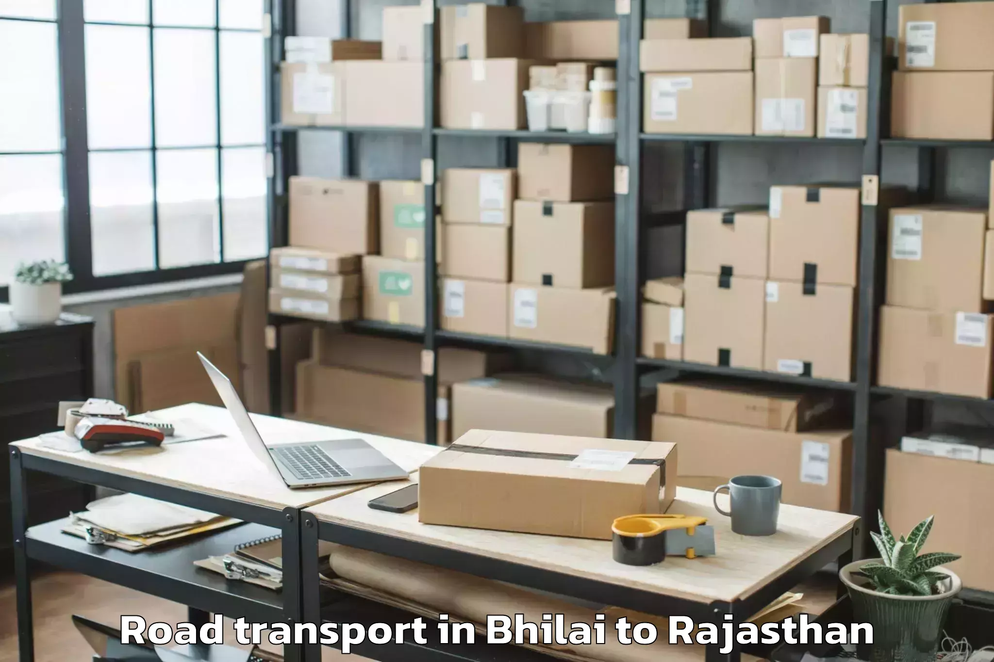 Book Bhilai to Pratap University Jaipur Road Transport Online